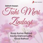 Tuhi Meri Zindagi - Amjad Nadeem Song Download